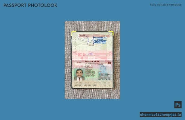 Burkina Faso Pass 2018-heute Fotobeispiel-Vorschau